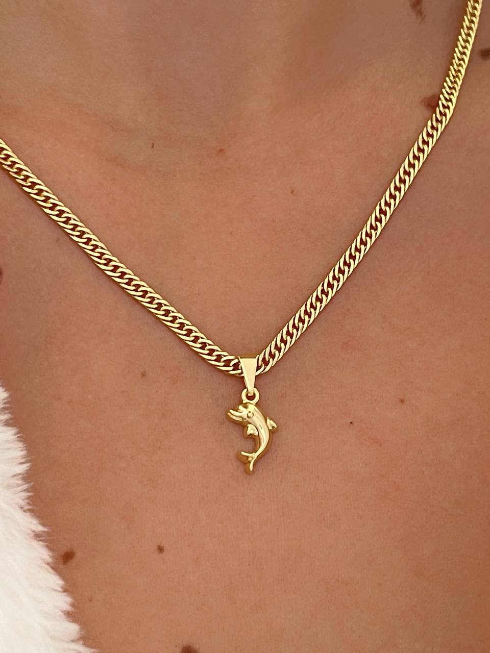 Dije Dolphin