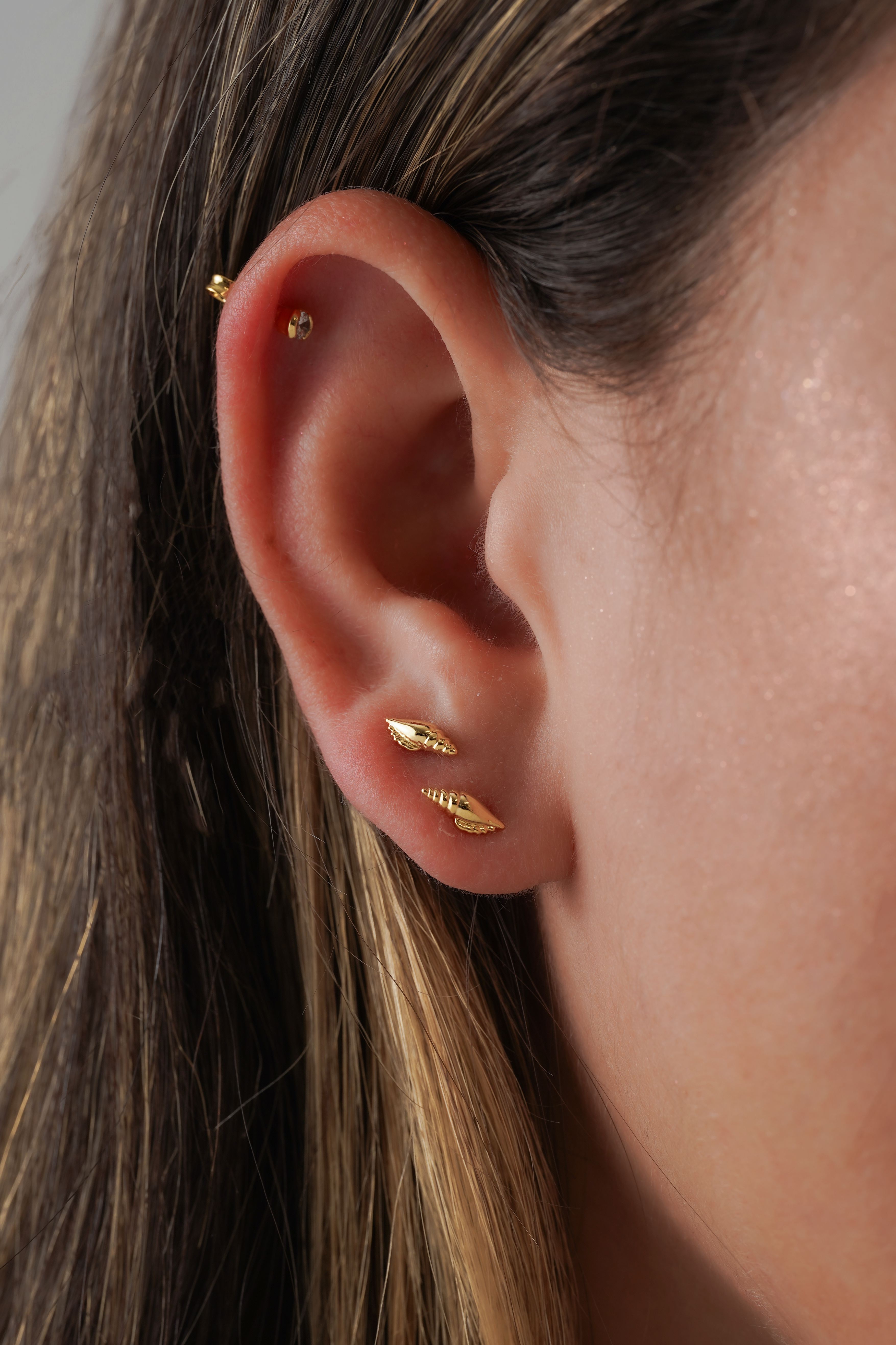 Arete Shell