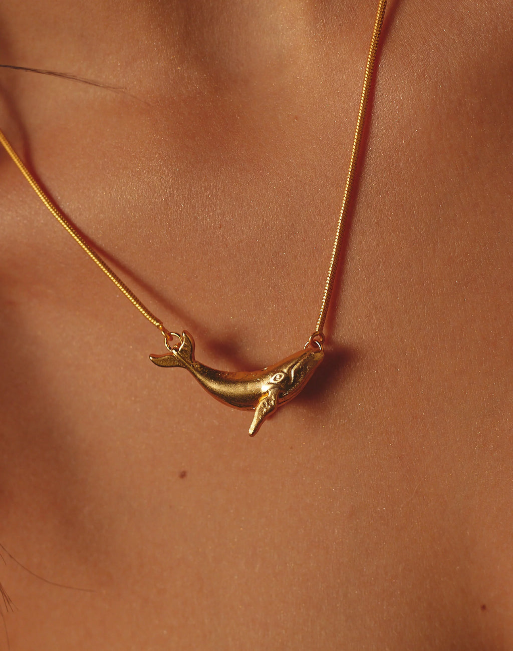 Set de Collar + Aretes Ballena