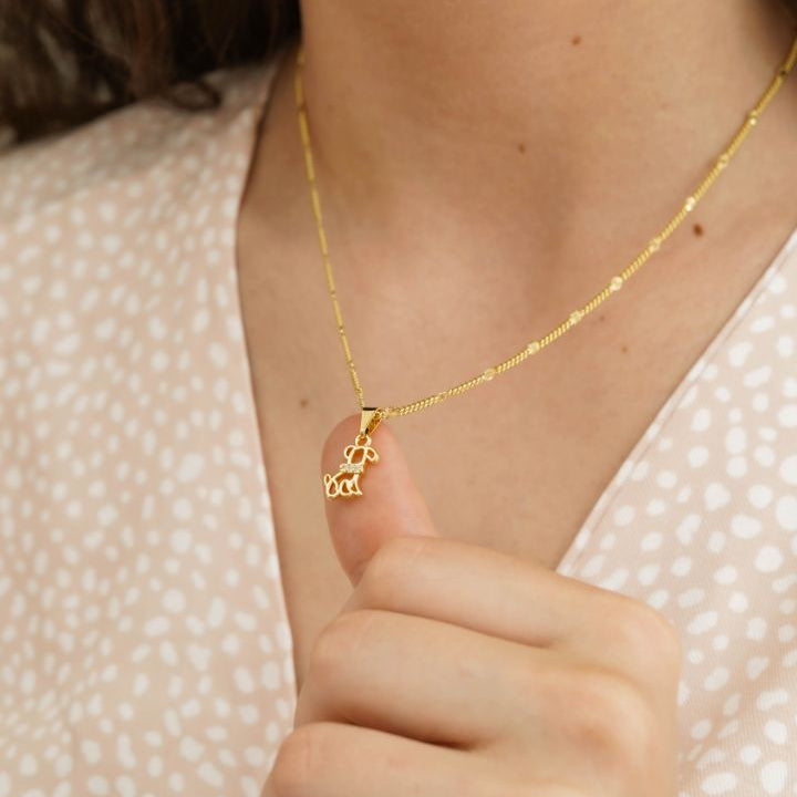 Cadena destellos 60 cm + Dije Dog