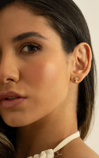 Arete Hongo